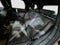2025 MINI John Cooper Works Countryman John Cooper Works